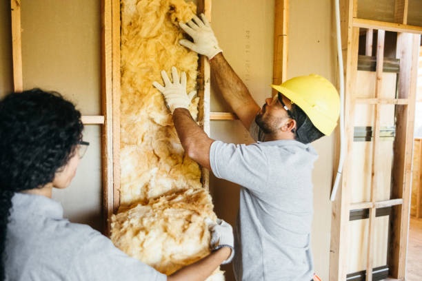 Insulation Replacement Services in New Buffalo, MI