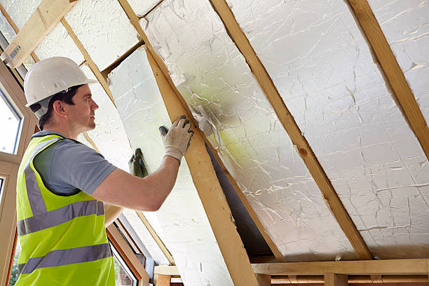 Best Energy-efficient Insulation  in New Buffalo, MI